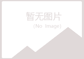 鹤山区迎夏服务有限公司